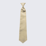 Boy's Satin Champagne Pre-Tied Tie for Kids Teen Children - Wedding